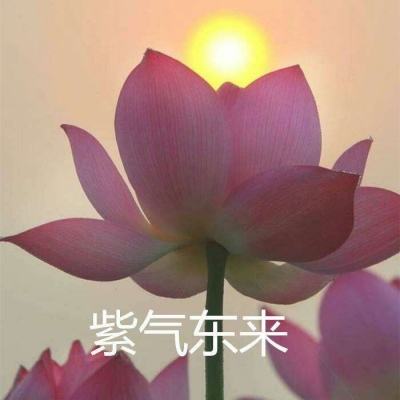 大话西游vivo手机版本客户端下载